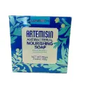 Savon antibactérien Artemisia (100g)